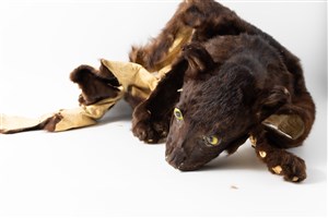 Image description is not available for 2004.1.6